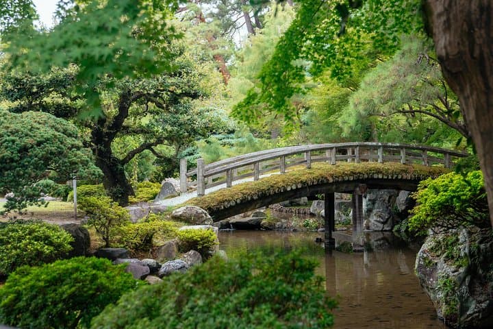 Kyoto by Bike: Private Half-Day Tour Along the Philosopher's Path photo 6