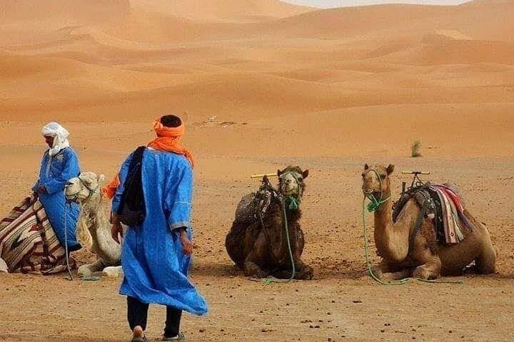 Fez to Merzouga Overnight Luxury Desert Trip — Camel Trek & Erg Chebbi Camp photo 3