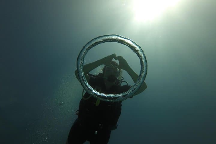 Catalina Island Scuba Diving: Full-Day Tour from Punta Cana photo 6