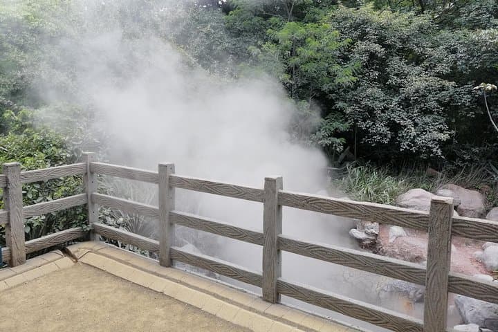 Rincón de la Vieja Volcano, Waterfall & Hot Springs Private Day Tour photo 2