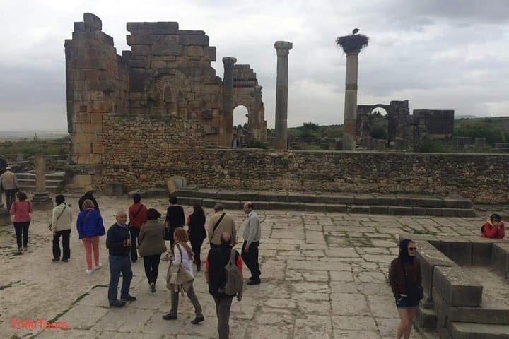 Day Trip from Fez to Volubilis and Meknes: Roman Ruins & Imperial Gates