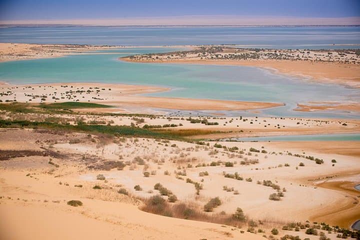 Fayoum Oasis & Wadi El-Rayan Waterfalls: Full-Day Guided Tour from Cairo