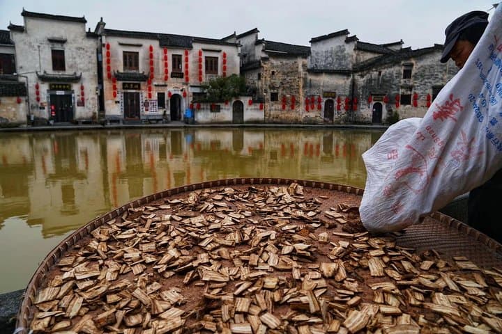 3-Day Mt. Huangshan & Ancient Villages: Bullet-Train Hiking from Shanghai photo 4