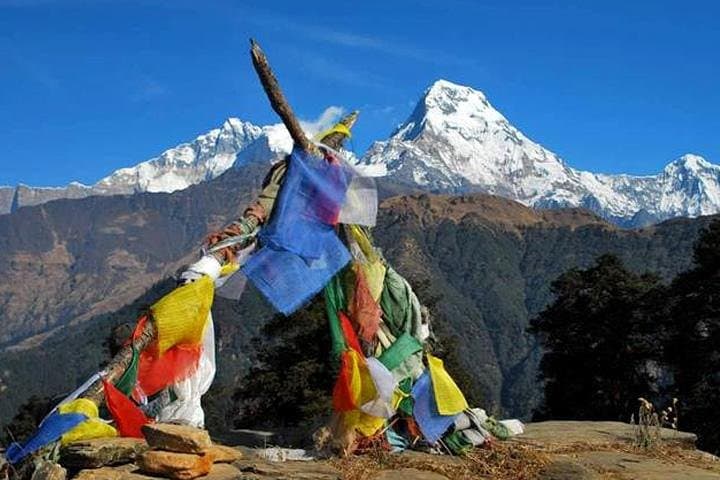 Mardi Himal Trek: 10-Day Annapurna Gateway Trek from Pokhara photo 5