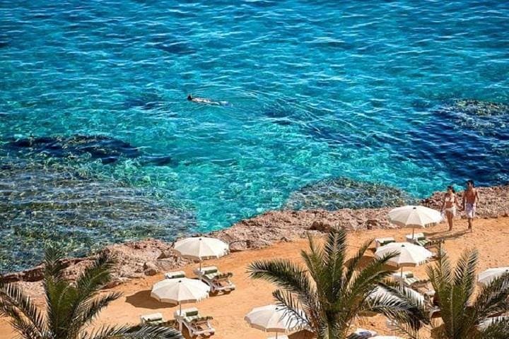 Seven-Day Egypt: Cairo, Alexandria, Red Sea Snorkel & Mount Sinai Sunrise photo 2