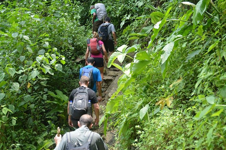 Trek to Colombia's Lost City: 4-Day Sierra Nevada Adventure photo 4
