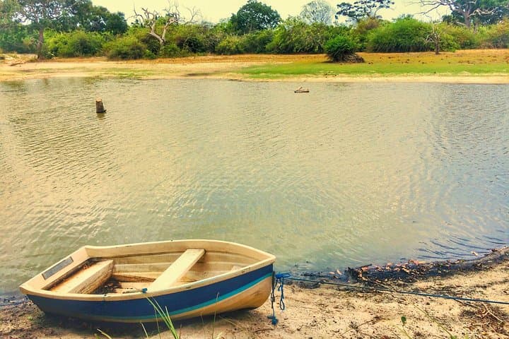 8-Day Explore Sri Lanka: Sigiriya to Galle Cultural & Wildlife Circuit photo 4