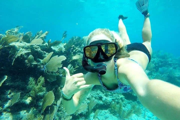 Schooner, Kayak & Snorkel: Half-Day Sail to Key West National Wildlife Refuge photo 4