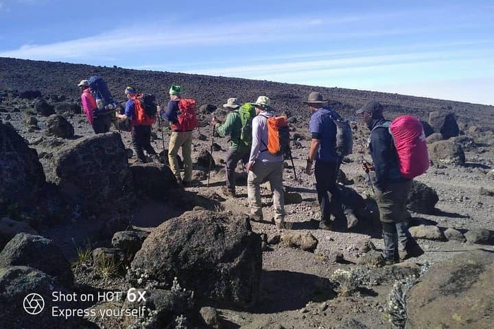 Lemosho Route Kilimanjaro: 8-Day Guided Summit via Shira Plateau photo 2