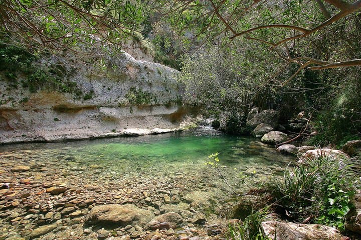 Pantalica Necropolis Half-Day Walk: Hike the Anapo Valley to Rock-Cut Tombs photo 6