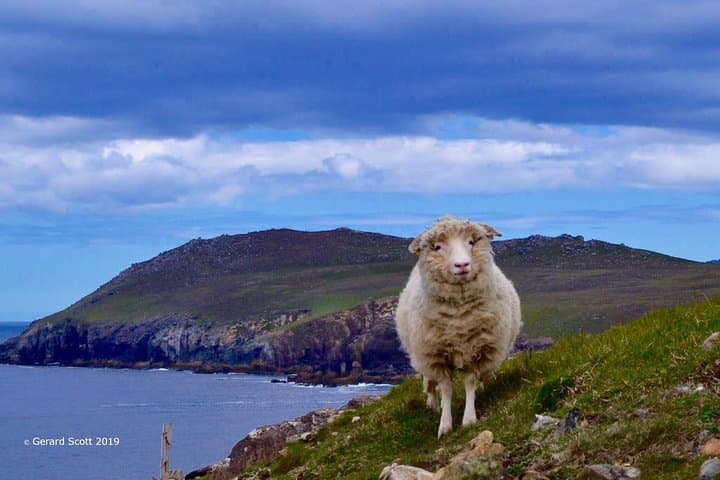 Luxury Luck of the Irish 4-Day Guided Tour: Killarney, Dingle, Ring of Kerry & Cliffs of Moher photo 2