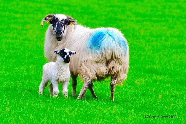 Cliffs of Moher Day Tour from Killarney: Coastal Views, Geology & Practical Tips photo 5