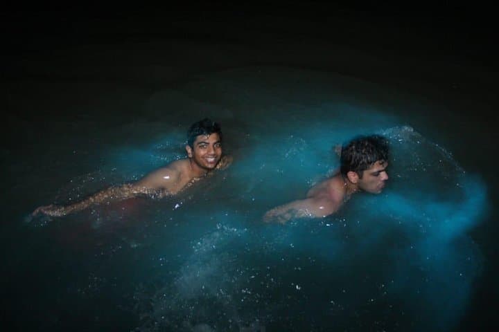 Night Swim at Jamaica's Luminous Lagoon: Private Boat Tour from Negril photo 2