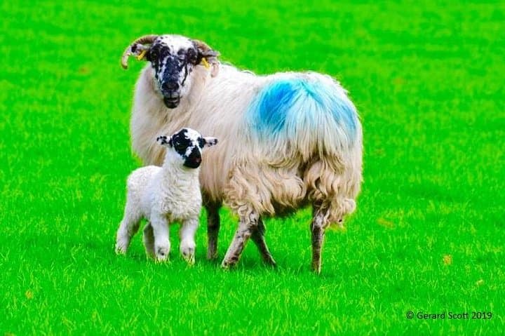 Luxury Photography Day Tour on the Ring of Kerry and Skellig Ring photo 3