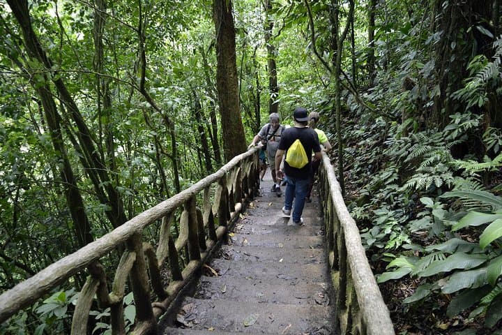 Rio Celeste Day Trip from San José — Tenorio Volcano Hike & Blue Lagoon photo 6