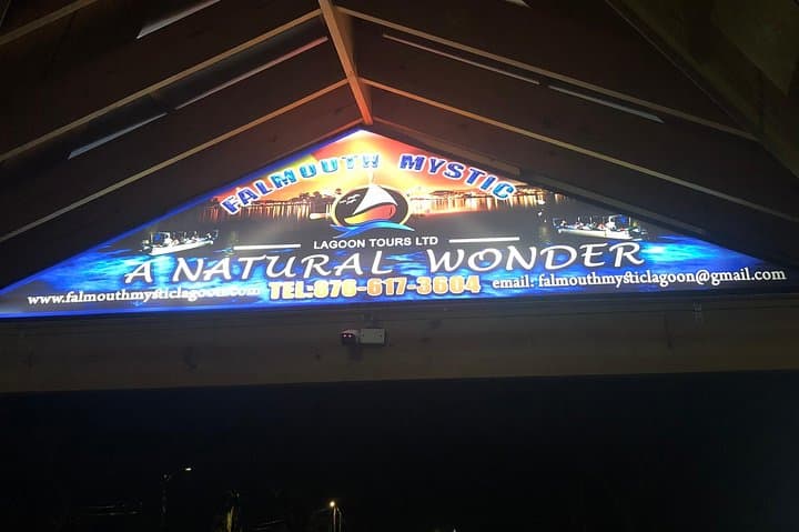 Night Swim at Jamaica's Luminous Lagoon: Private Boat Tour from Negril photo 4