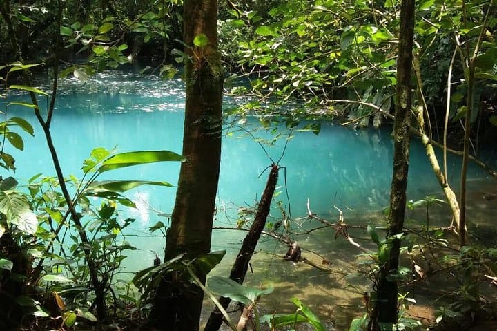 Rio Celeste Day Trip from San José — Tenorio Volcano Hike & Blue Lagoon