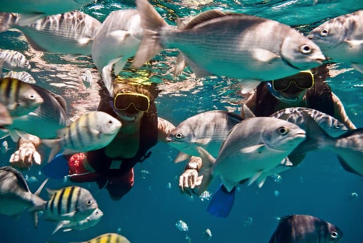Catamaran Snorkel Cruise in Carlisle Bay, Barbados — Shipwrecks & Beach Stop photo 5