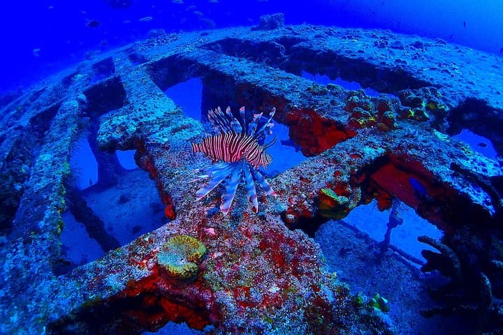 Isla Mujeres Two-Tank Wreck & Drift Reef Dive — C55 & C58 Adventure photo 2