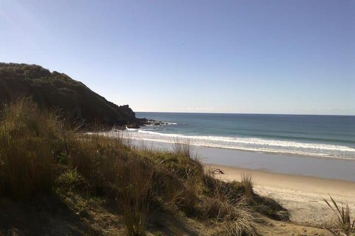 Learn to Surf at Te Arai Beach: 2-Hour Beginner Lesson on Auckland’s East Coast photo 3