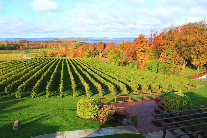 Private Traverse City Winery and Brewery Tour — Custom 4-Hour Tasting Experience photo 6