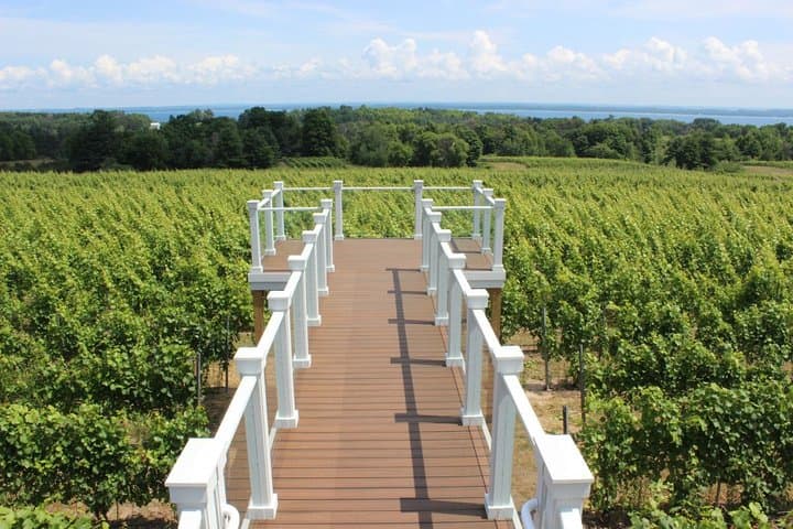 Old Mission Peninsula Wine Route: 5-Hour Traverse City Tasting Tour photo 6