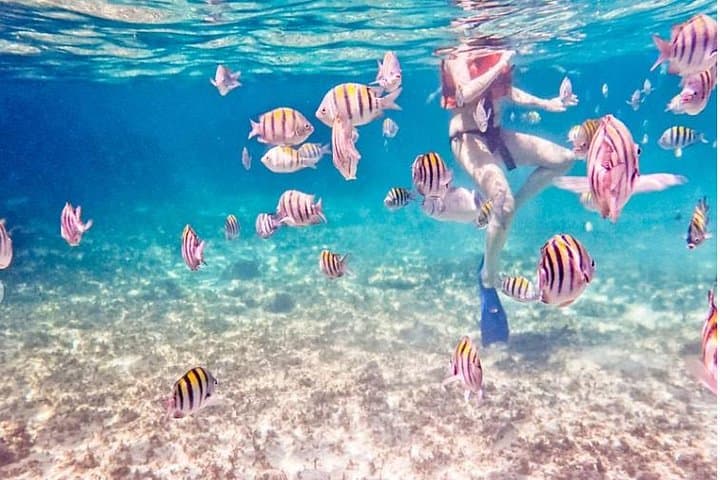 Private 5-Hour Catamaran Snorkel Tour from Playa del Carmen with Open Bar & Fishing photo 5