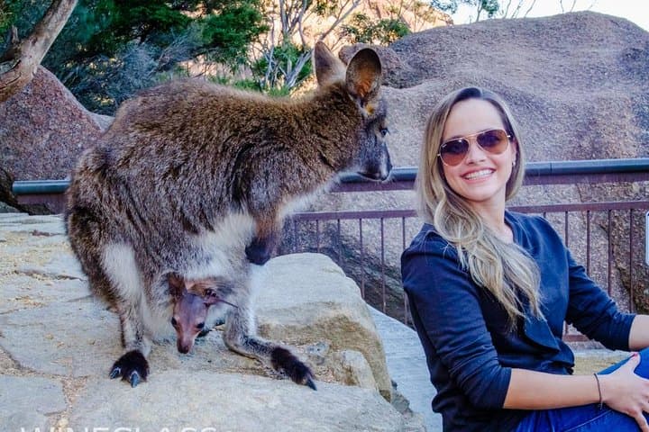 Full-Day Wineglass Bay Tour from Hobart: Hike, Wildlife & East Coast Wine Tasting photo 4