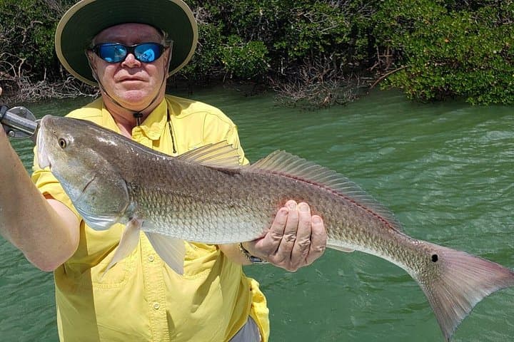 Half-Day Afternoon Charter Fishing in Naples, Marco Island & Sanibel photo 1