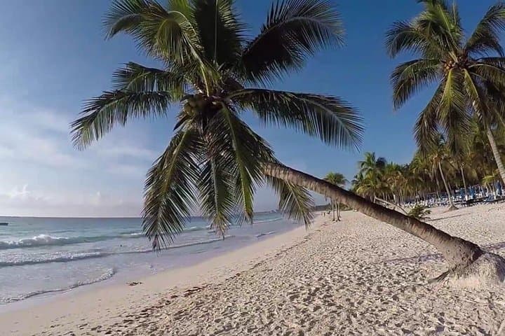Tulum & Akumal Bay VIP: Snorkel Turtles, Explore Cenotes and Tulum Ruins photo 6