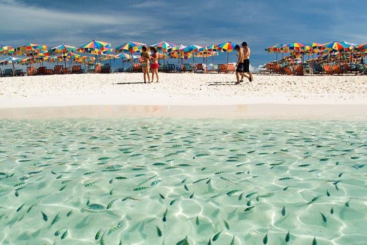 Phi Phi Island Speedboat Snorkel from Phuket — Maya Bay, Pileh & Khai photo 5