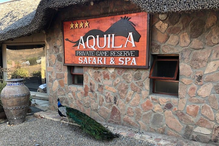 Full-Day Aquila Game Reserve Safari from Cape Town — Big Five & Wine Tasting photo 6