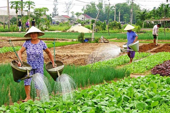 Tra Que Village Farming & Lantern Making Day Trip from Hoi An photo 3