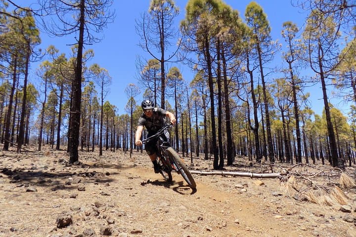 Gran Canaria Mountain Bike Excursions: Pico de las Nieves, Nublo & Pilancones