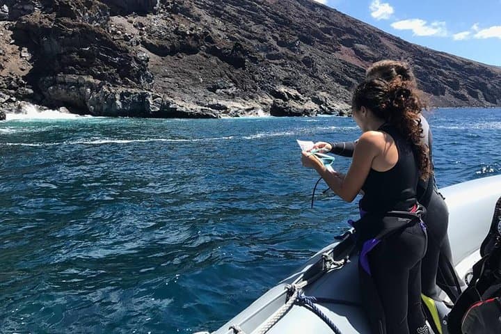 Scuba Diving Baptism in La Restinga: Introductory Shore Dive on El Hierro photo 4