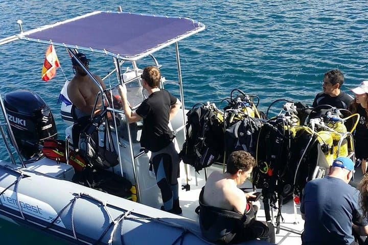 Scuba Diving Baptism in La Restinga: Introductory Shore Dive on El Hierro photo 6