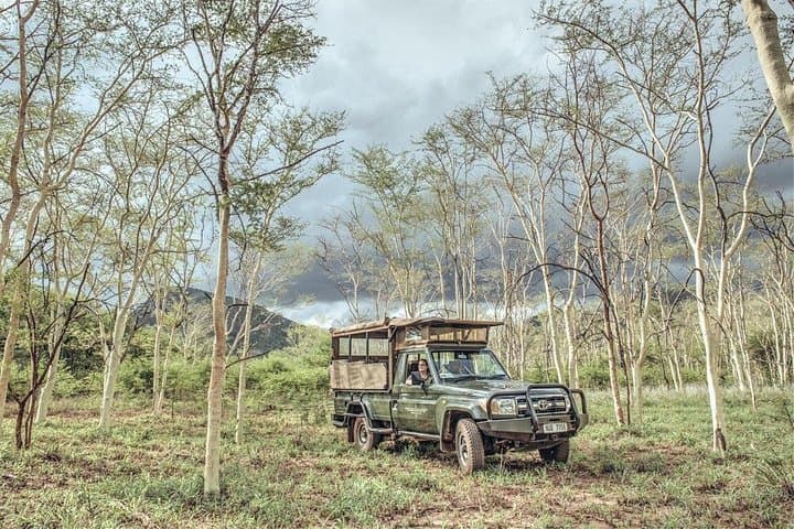 Full-Day uMkhuze Game Drive with Lunch — Big Five Safari & Birding in KwaZulu-Natal