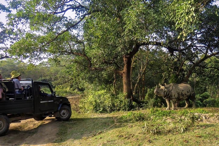 Overnight in Chitwan National Park: 2-Night Wildlife Safari & Jungle Tower Experience photo 3