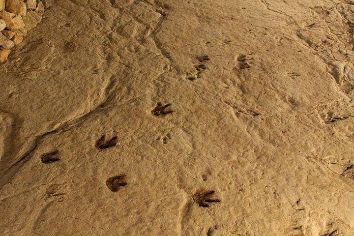 Martvili, Okatse & Prometheus: Canyons, Cave Rivers and Forest Walks from Kutaisi photo 6