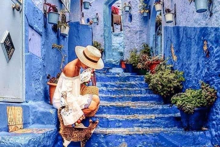 Casablanca to Chefchaouen and Fez: 4-Day Northern Morocco Cultural Loop photo 1