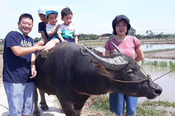 Hoi An Countryside Cycling, Buffalo Ride & Bamboo Basket Boat Experience photo 2