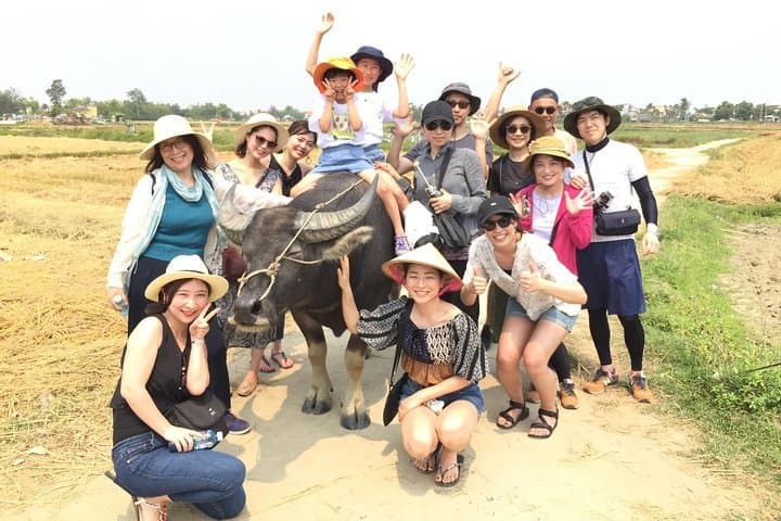 Hoi An Countryside Cycling, Buffalo Ride & Bamboo Basket Boat Experience photo 3