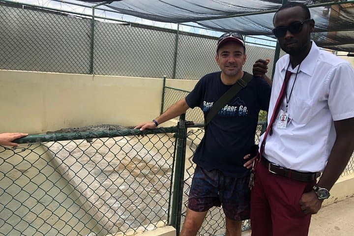 Black River Safari and YS Falls: Crocodile-spotting & Waterfall Swim from Negril photo 1