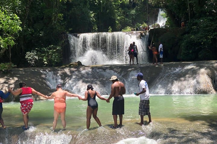 Black River Safari and YS Falls: Crocodile-spotting & Waterfall Swim from Negril photo 3