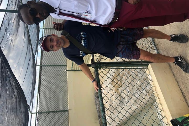 Black River Safari and YS Falls: Crocodile-spotting & Waterfall Swim from Negril photo 4