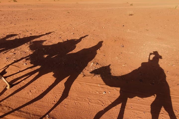 Wadi Rum Camel Trek Adventure: 3-Hour Camel Ride to Khazali Canyon & Red Sand Dune photo 3