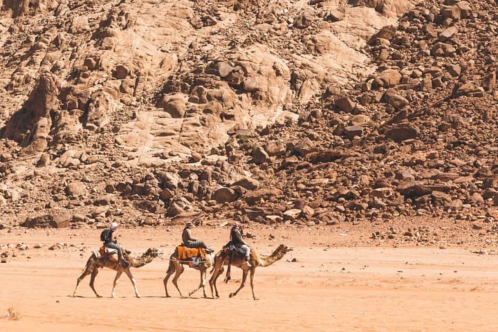 Wadi Rum Camel Trek Adventure: 3-Hour Camel Ride to Khazali Canyon & Red Sand Dune
