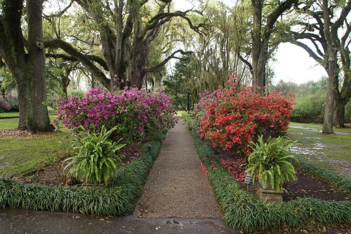 Private Haunted Myrtles Plantation Tour from New Orleans photo 4