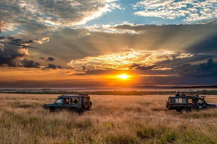 Discover a Thousand Hills: Rwanda Gorilla Tracking and Cape Town Trails