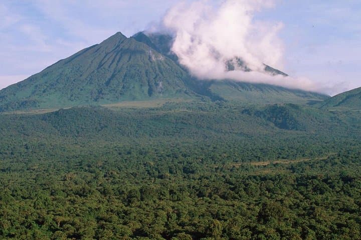 Face-to-Face with Virunga Gorillas & Overnight on Nyiragongo’s Crater Rim photo 5